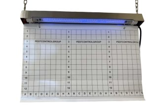PCG-UV-80GR LED IP65 (280-300м2) AISI 304