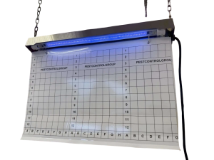 PCG-UV-80GR LED IP65 (280-300м2) AISI 304